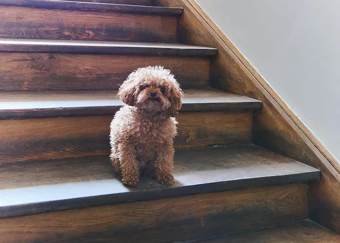 Hotel Schwanthaler Hof *